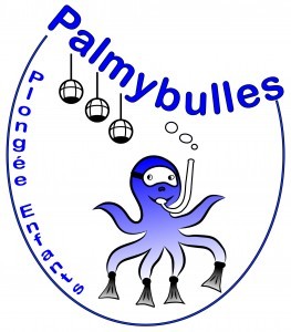 Logo_Palmybulles 263x300