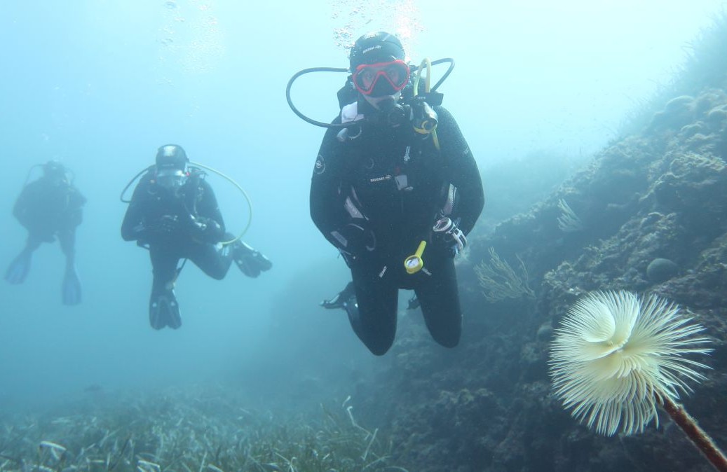 Week-end plongée St Cyr